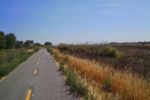 Riding the awesome bike path to work