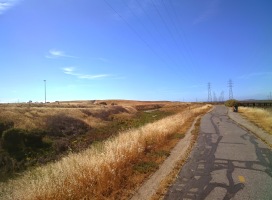 Biking to the airport from the office