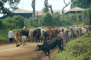 Road block