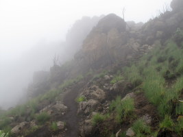 Hiking through a cloud