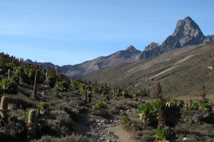 Hiking out