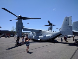 Osprey