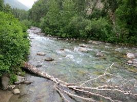 On the way up to Hatcher Pass (Little Susitna)