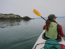 Sea kayaking in Peterson Bay - up to Gull Island