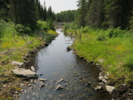 Hiking up to Devil's Pass on the Seward Highway