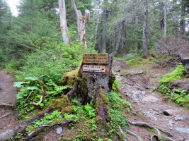 Hiking up to Lost Lake