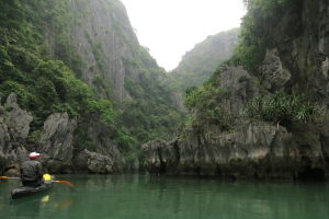 We paddled into this quiet bay hoping to find some monkeys..