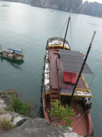 This fishing boat pulled up next to us to watch