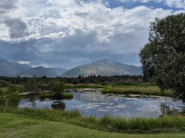 The non-swimming pond on the property