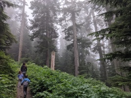 Foggy day at Stevens Pass