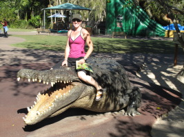 Riding the hugest crocodile ever