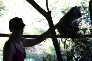Petting koalas next...