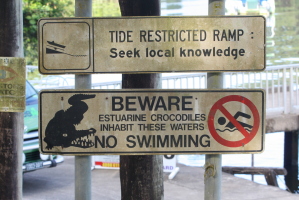 There was a huge croc about 50 meters from this sign!