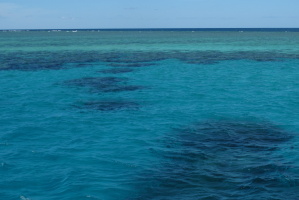 Our view of the reef was similar to this over the whole time, pretty clear water!
