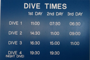 Lots of diving in 3 days!