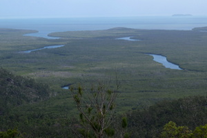 The huge mangrove forests on the north end of Hinchinbrook