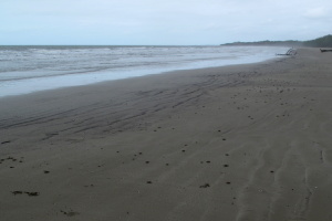 The last stretch is very easy 5km along the beach to George Point, where the southern ferry picks you up. Gloomy weather!