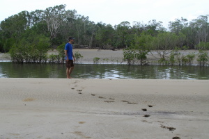 Looking for crocs.. not very croc wise :) We had to wait over an hour for the tide to drop enough for us to be able to cross.