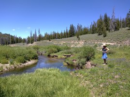 Fishing the headwaters of the Salmon river