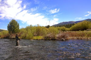 Melissa having a blast fly fishing!