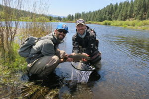 First trout!