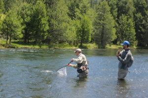 Some crazy bending action of that rod! Trent about to scoop it up :)