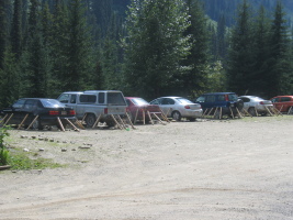 A row of chicken wire-guarded cars