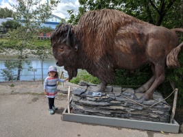 Zoe pointing out the bison's beard