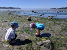 Tide pooling at False Bay, San Juan Island