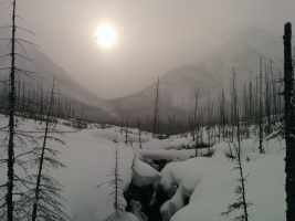 Marble Canyon. Still spooky after the fire years ago..