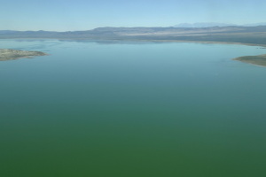 The crazy color of Mono Lake