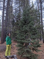Picking out a Christmas tree :)