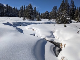 Coyote Crossing trail, TDXC