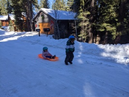 Bodie pulling Penny on the sled == cute overload