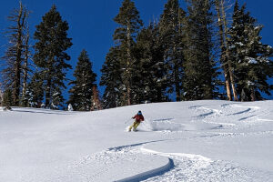 Sugarbowl backcountry