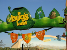 Entering bug's land!