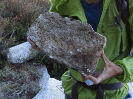 The rock that I broke off, we found it on the ground!