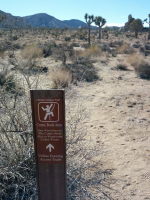Joshua Tree has awesome trail signs!