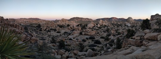 Joshua Tree panorama