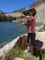 Bodie caught his first fish 100% unassisted! Reeled in on his own, I just helped net it :)