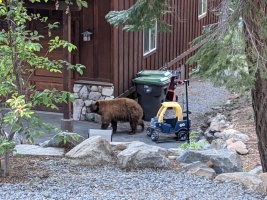 Checking out the neighborhood