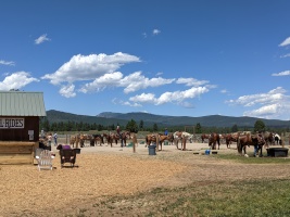 Farm camp!