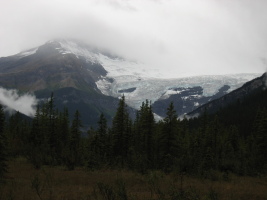 part of the Lyell glacier