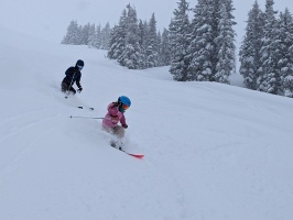 Powder skiing lessons