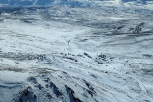 Close-up view of Bodie