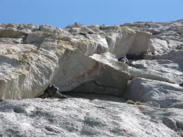 Closer up of the intimidating Serrated Edge roof