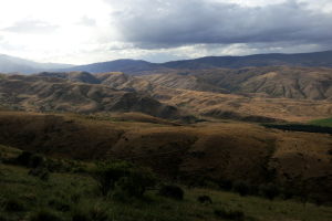 Awesome morning at Geordie Hill, sheep herding :)