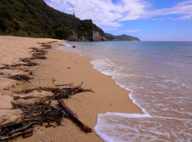 Hiking through Abel Tasman