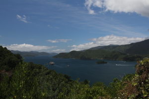 Marlborough Sound