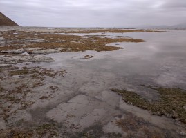 Low tide reflections